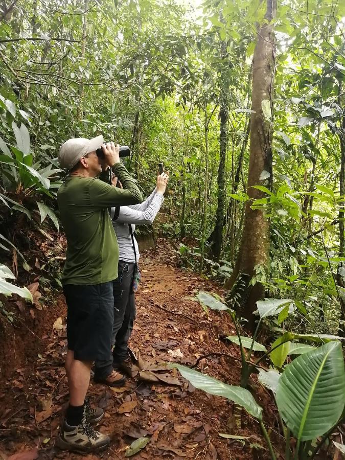 Cecropia Ecolodge *