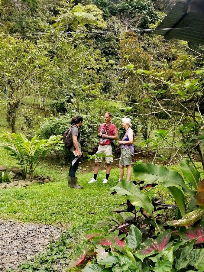 Cecropia Ecolodge