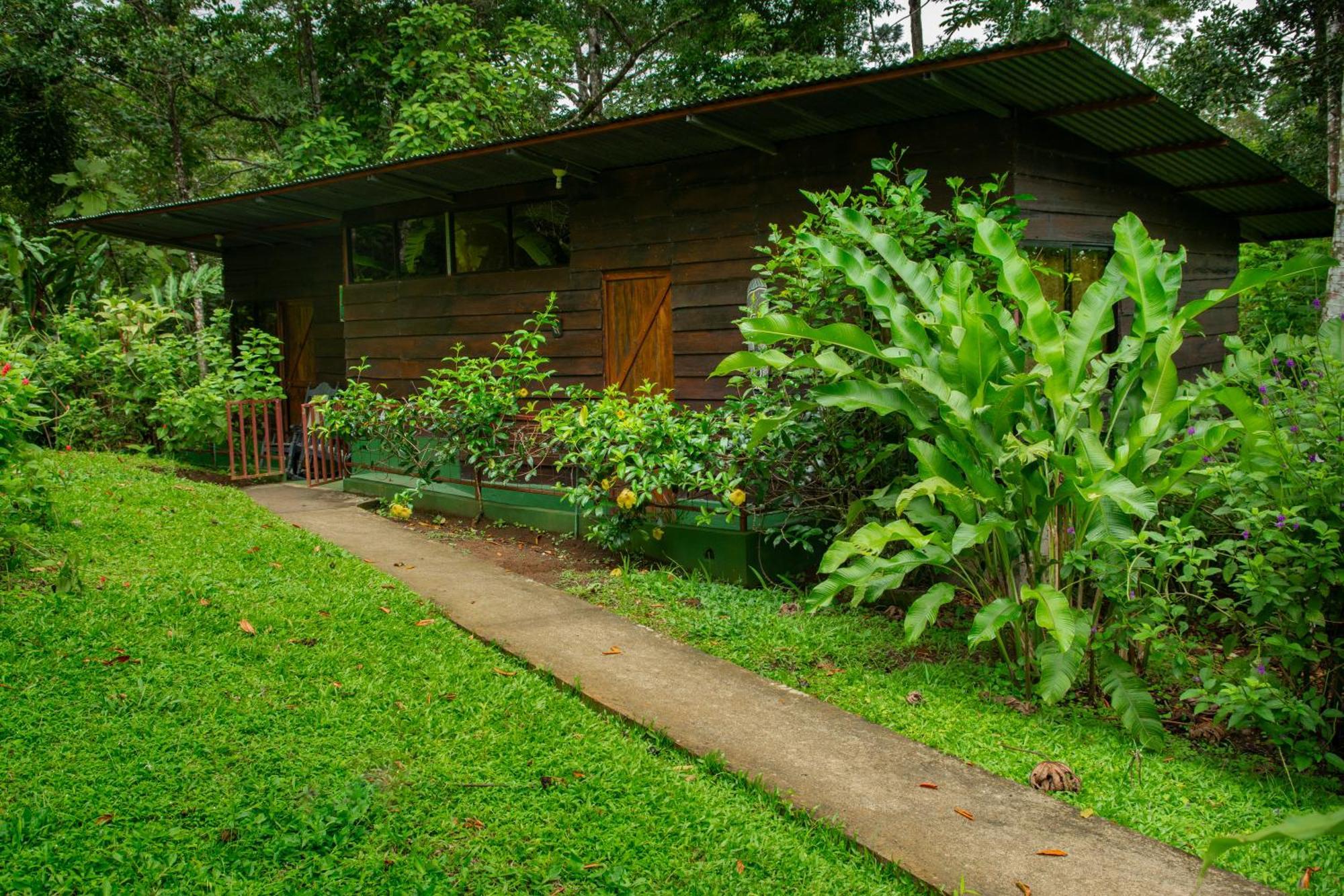 Lodge Cecropia Ecolodge *