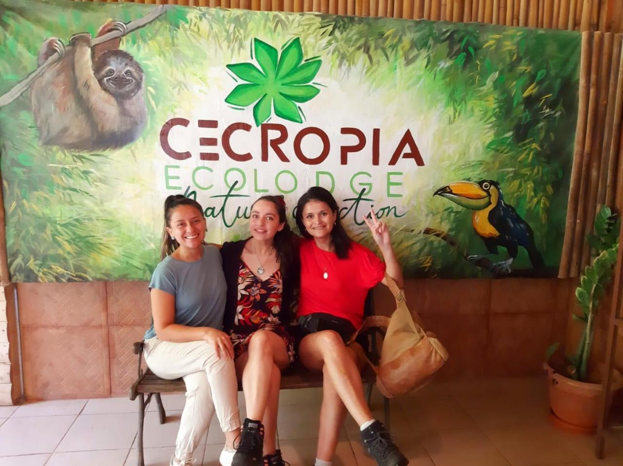 Cecropia Ecolodge *