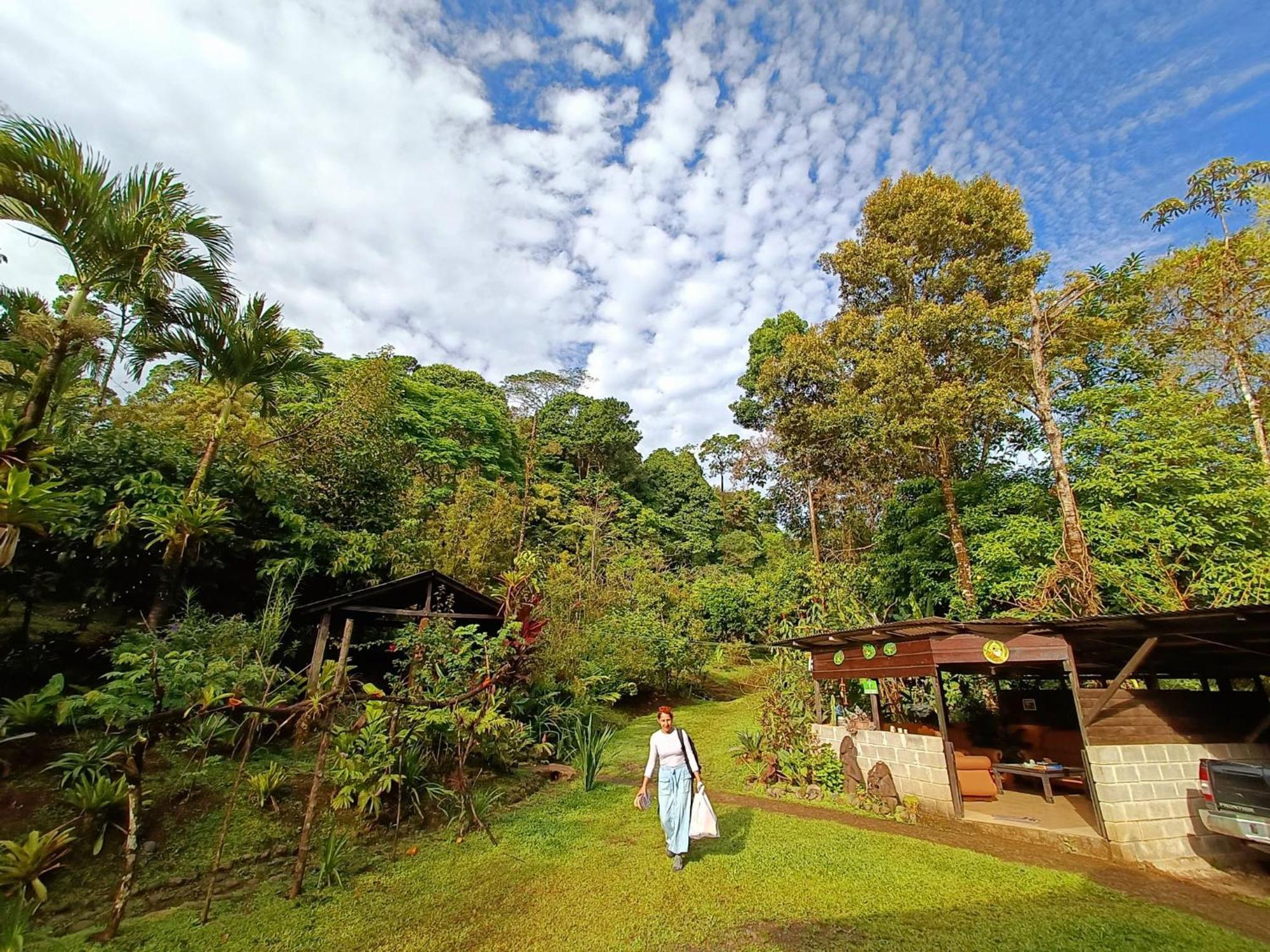 Lodge Cecropia Ecolodge *