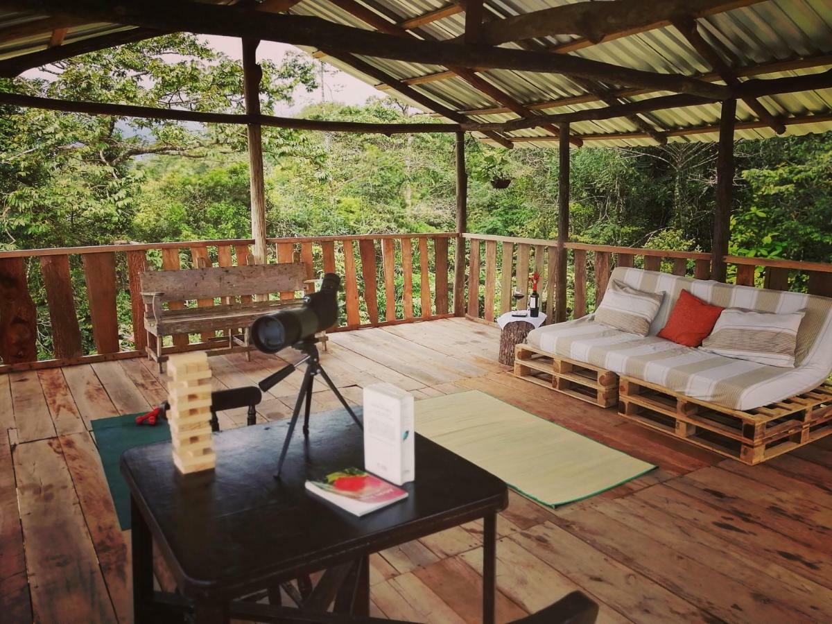 Lodge Cecropia Ecolodge